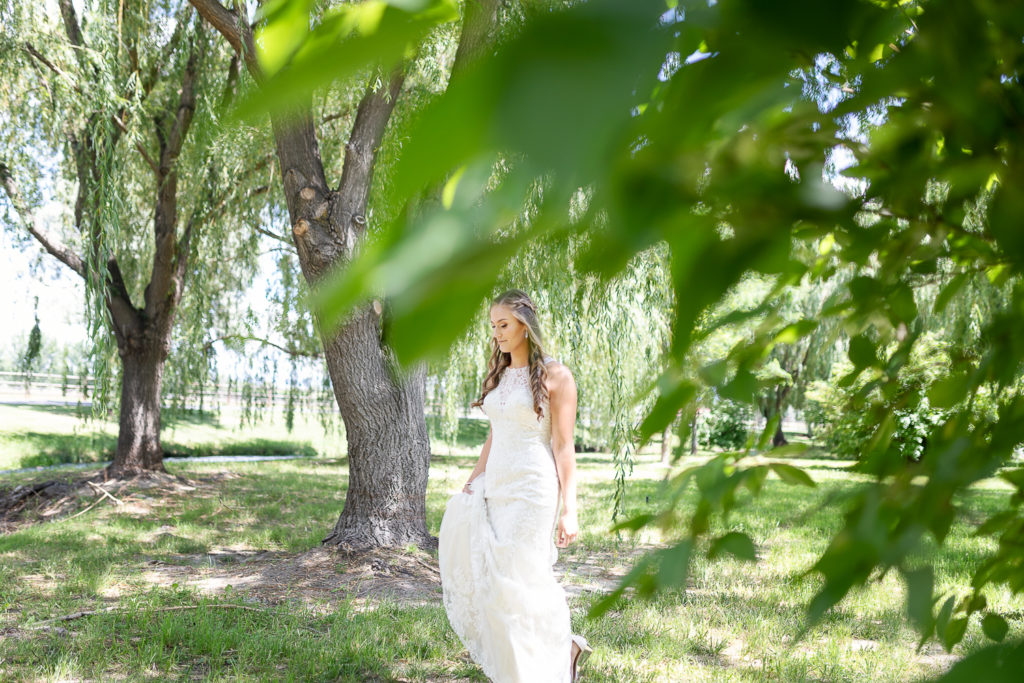 Michael Shea + Michael