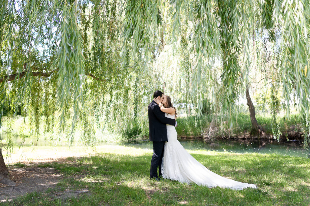 Michael Shea + Michael