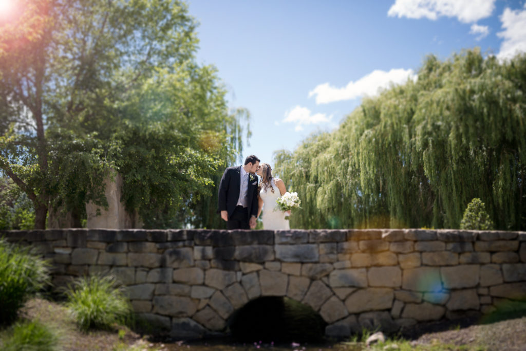 Michael Shea + Michael